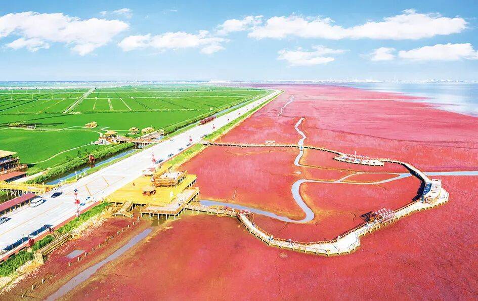 盘游玩精品路线——遇见更“红”的盘锦!pg电子免费试玩模拟器“双节”假期来(图5) 盘游玩精品路线——遇见更“红”的盘锦!pg电子免费试玩模拟器“双节”假期来(图5)