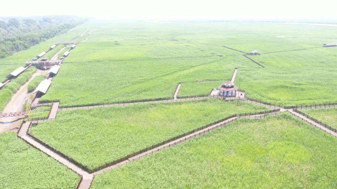 盘游玩精品路线——遇见更“红”的盘锦!pg电子免费试玩模拟器“双节”假期来(图8) 盘游玩精品路线——遇见更“红”的盘锦!pg电子免费试玩模拟器“双节”假期来(图8)