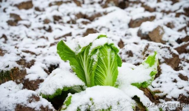 一遇“5大特征”与往年不同早看早知道pg模拟器试玩5点04分大雪60年(图5) 一遇“5大特征”与往年不同早看早知道pg模拟器试玩5点04分大雪60年(图5)