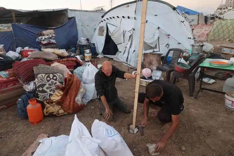 环日常：在枪声与废墟中寻找食物与水pg电子中国网站一个加沙家庭的循(图2)