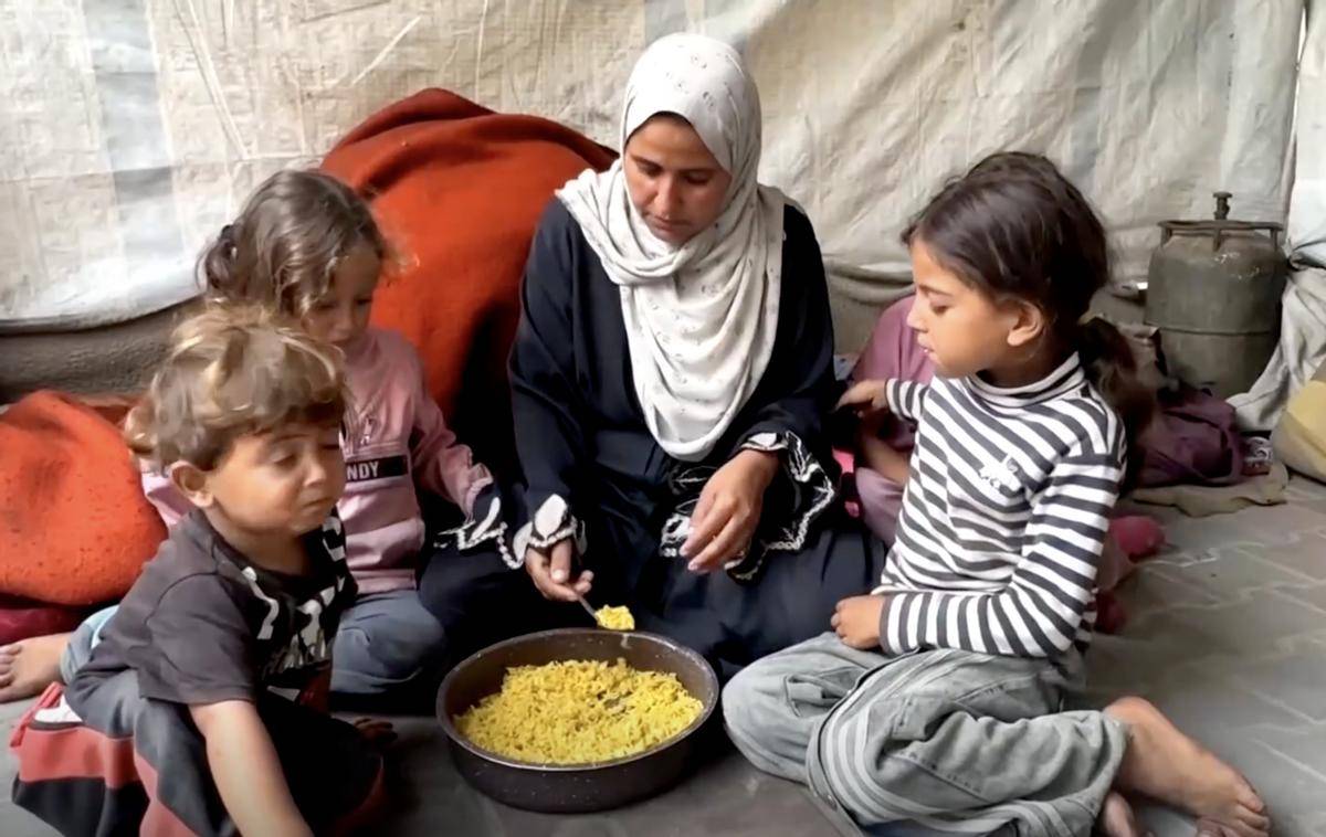 环日常：在枪声与废墟中寻找食物与水pg电子中国网站一个加沙家庭的循(图7)